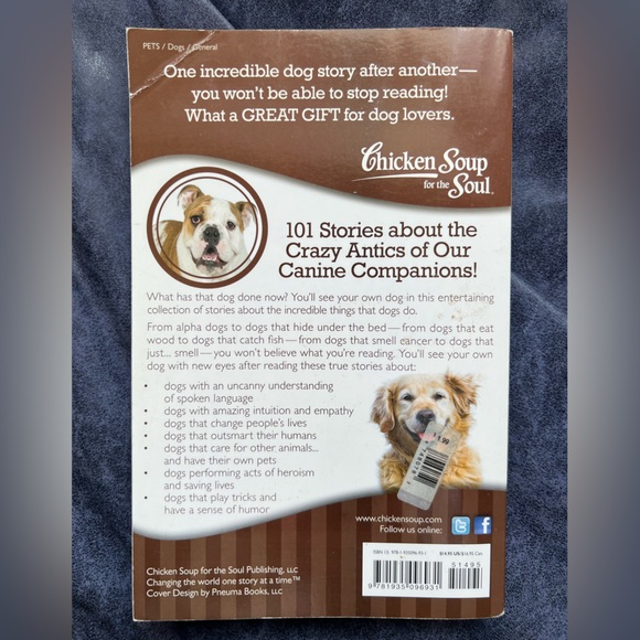 Two Chicken Soup books - Picture 2 of 4